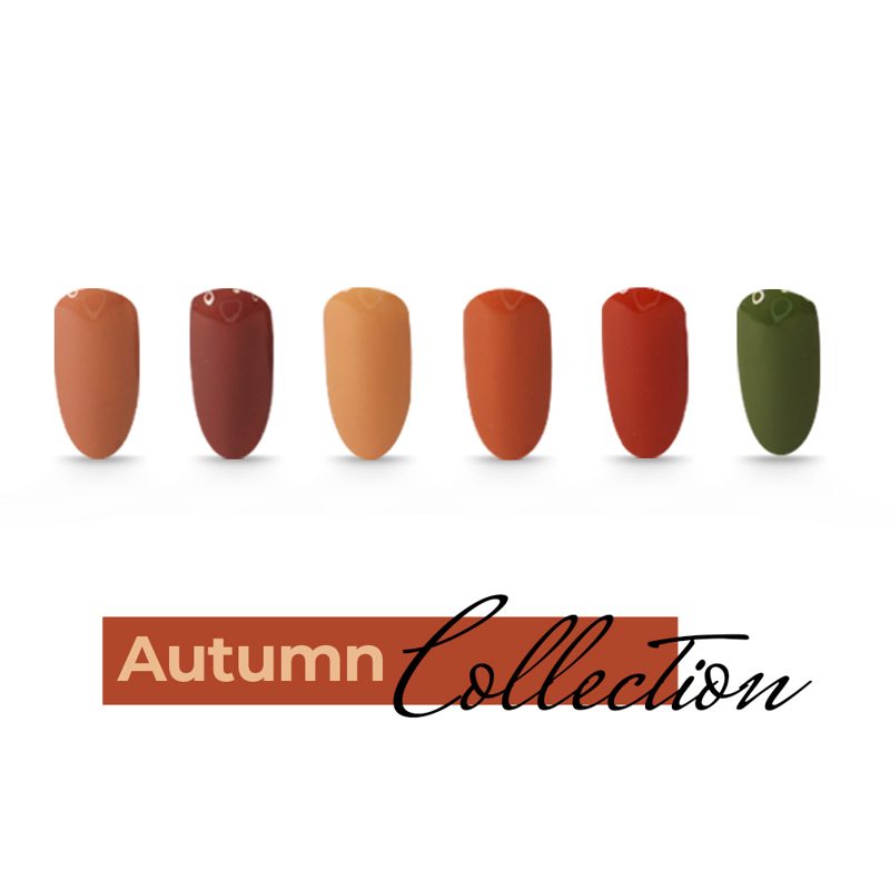 Autumn collection